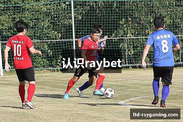 认识raybet